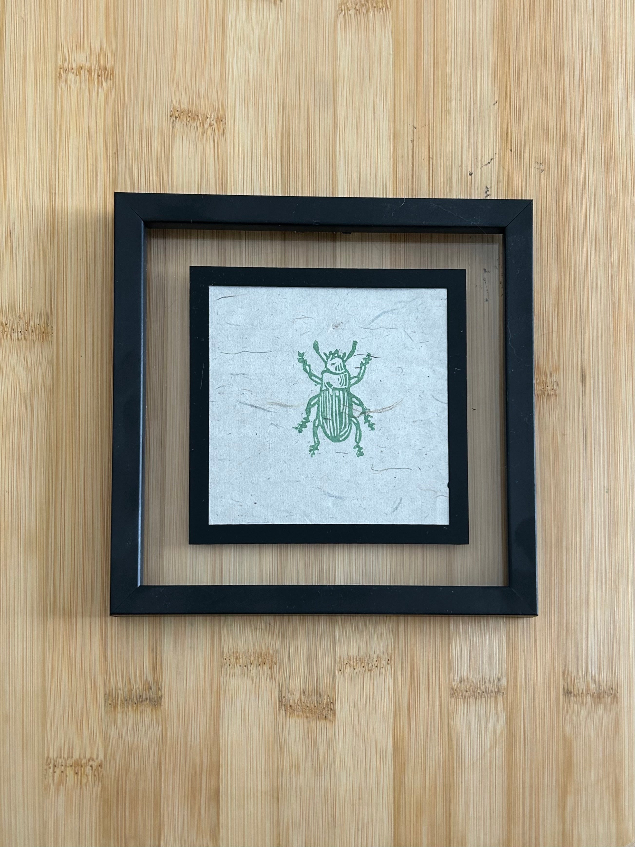 Green Beetle Mini Print Framed