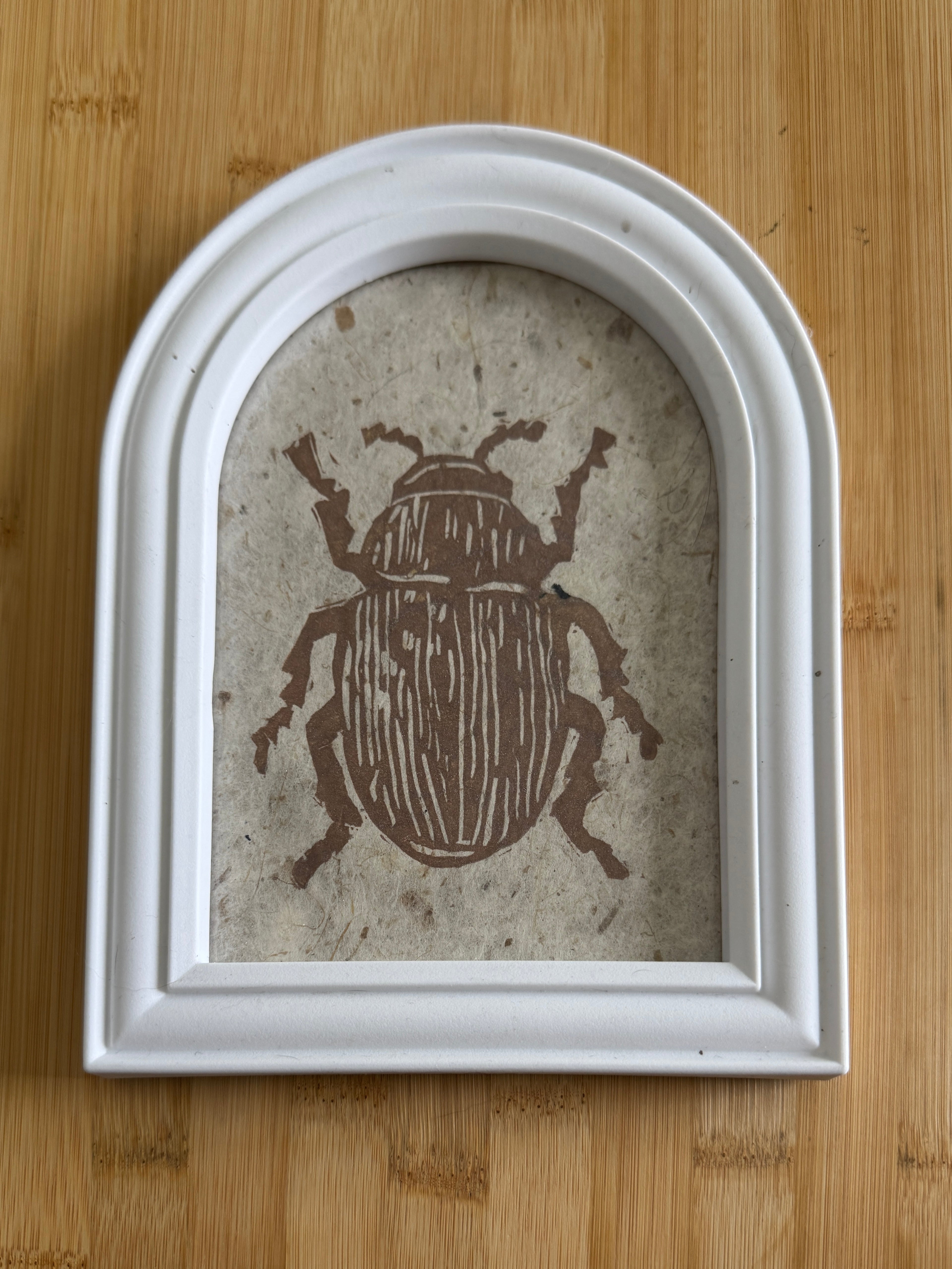 Beetle Print Framed
