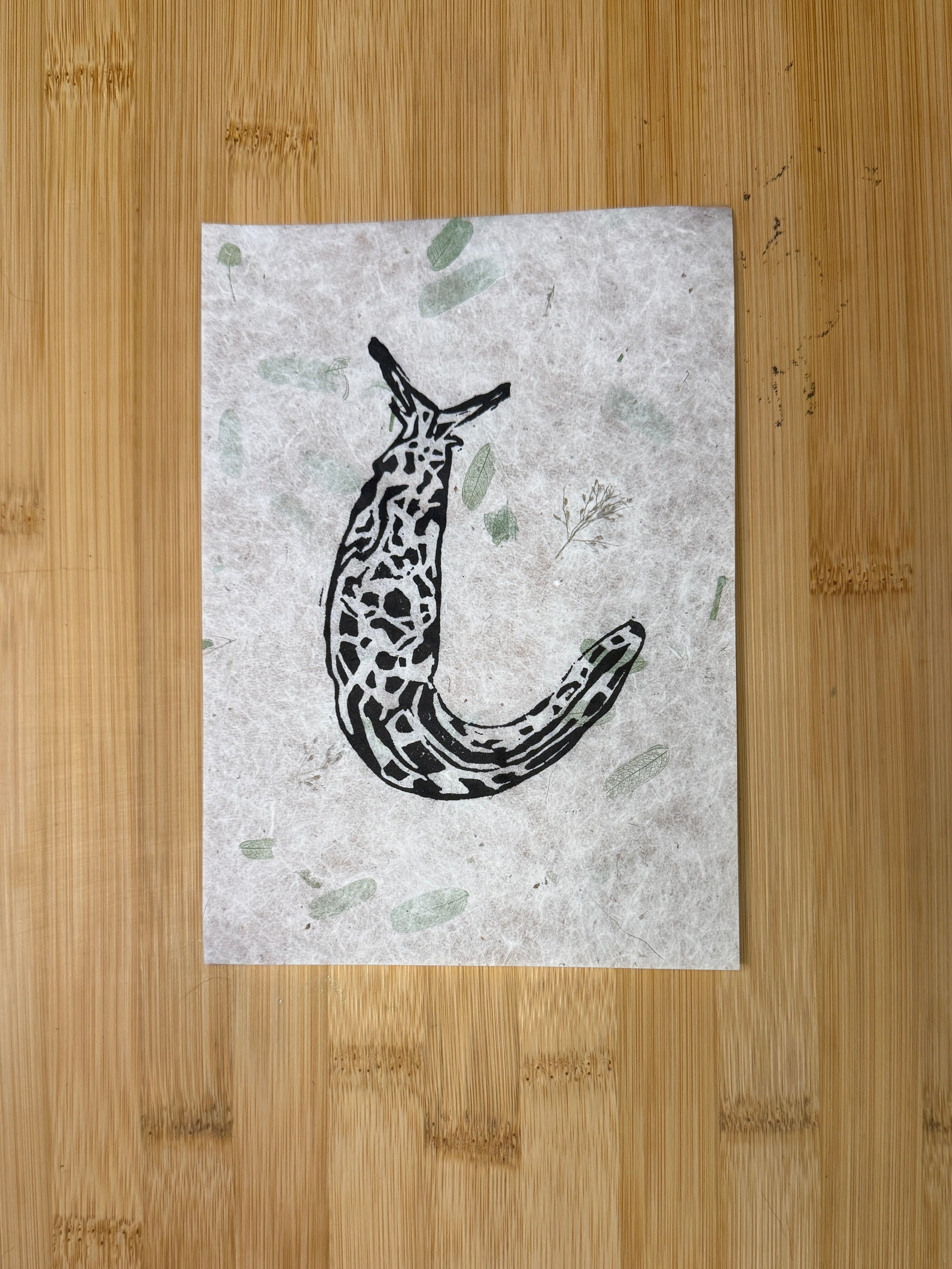 Banana Slug Print