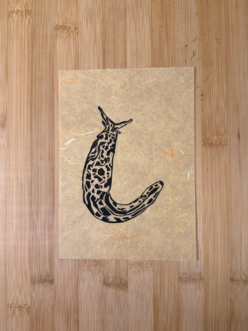 Banana Slug Print