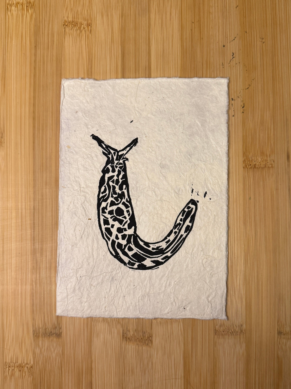 Banana Slug Print