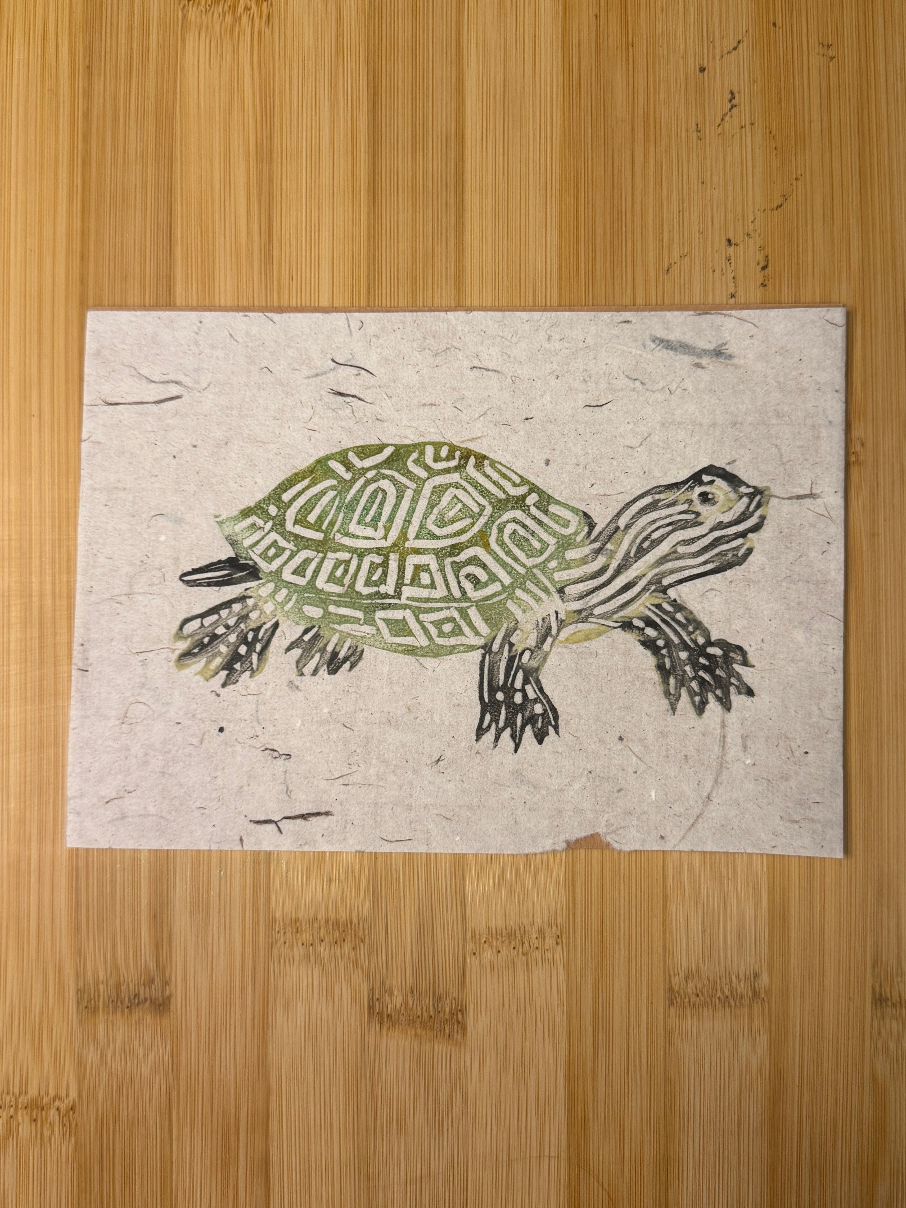 Box Turtle Print