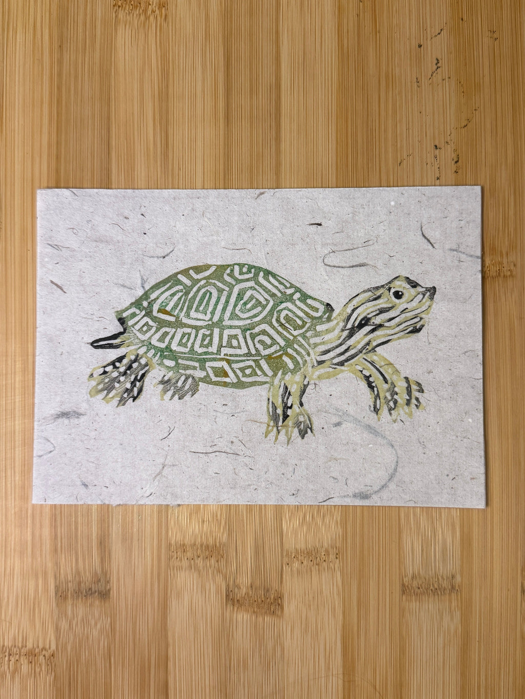 Box Turtle Print