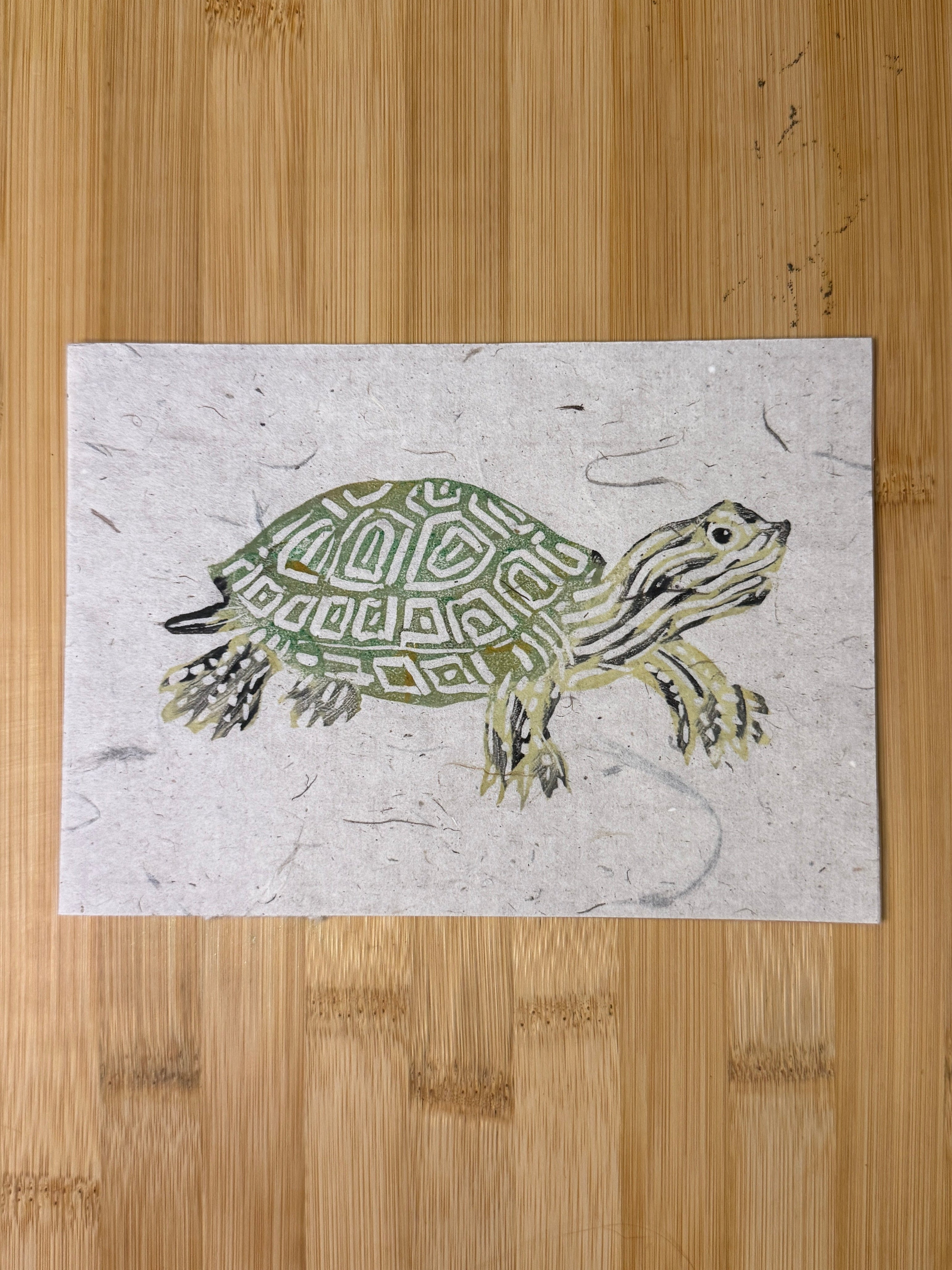 Box Turtle Print