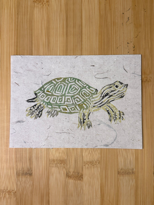 Box Turtle Print