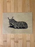 Caterpillar Print