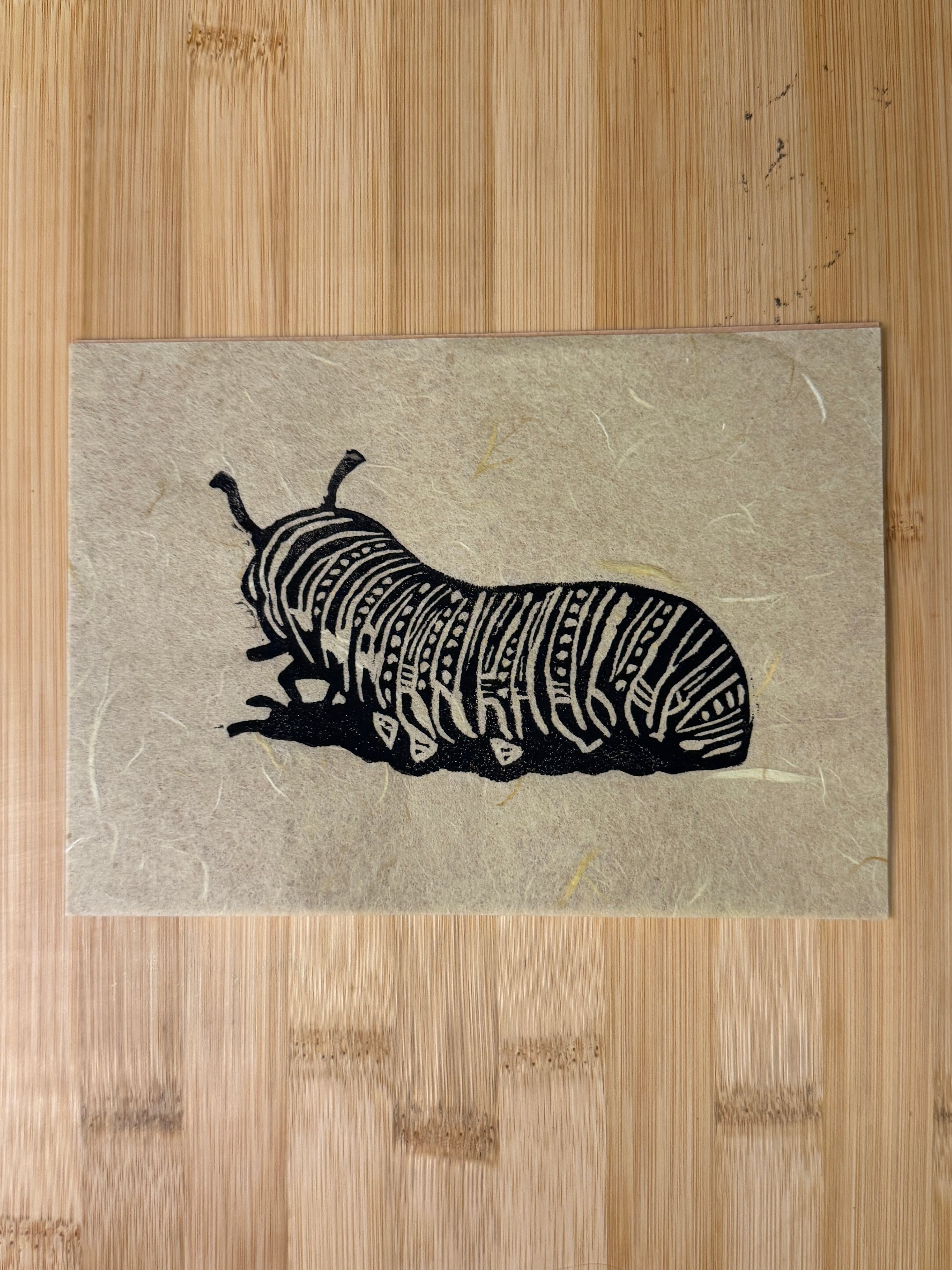Caterpillar Print
