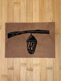 Chrysalis Print