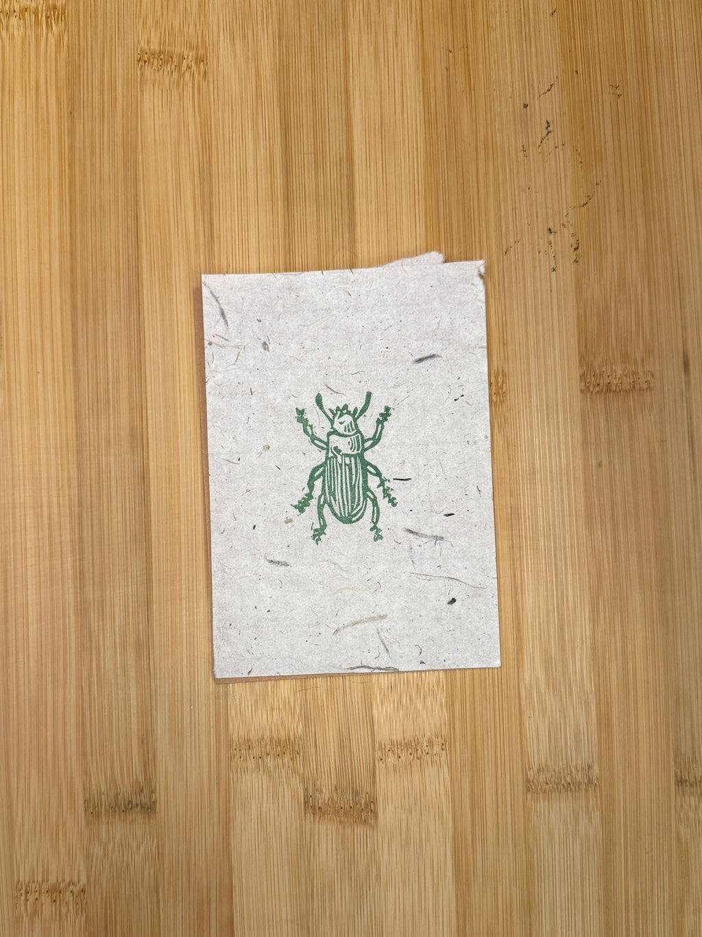 Mini Beetle Print