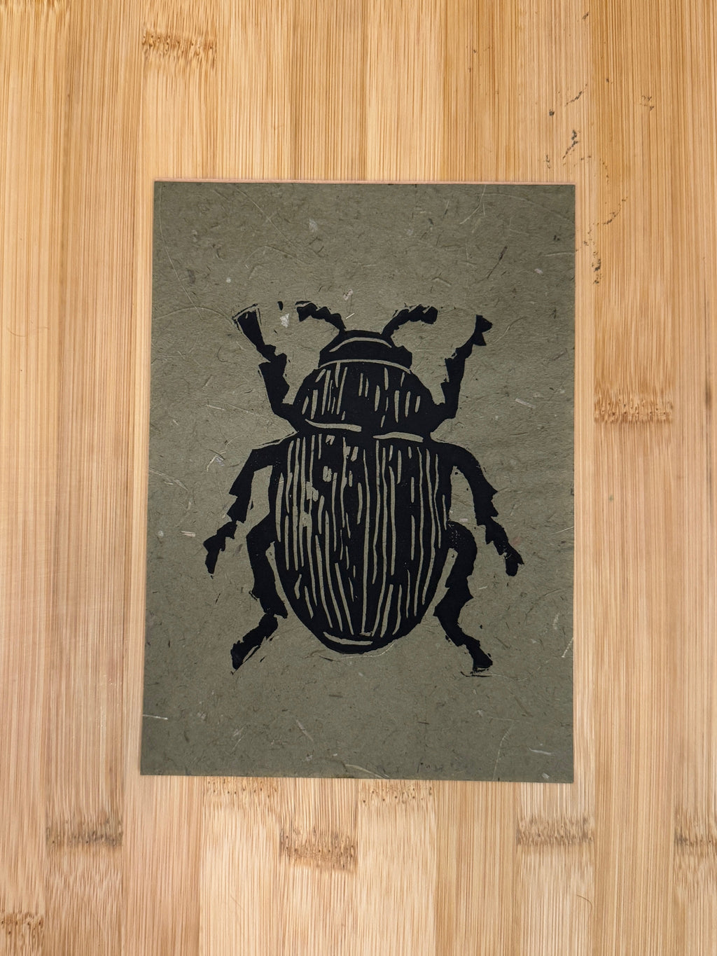 Beetle Print