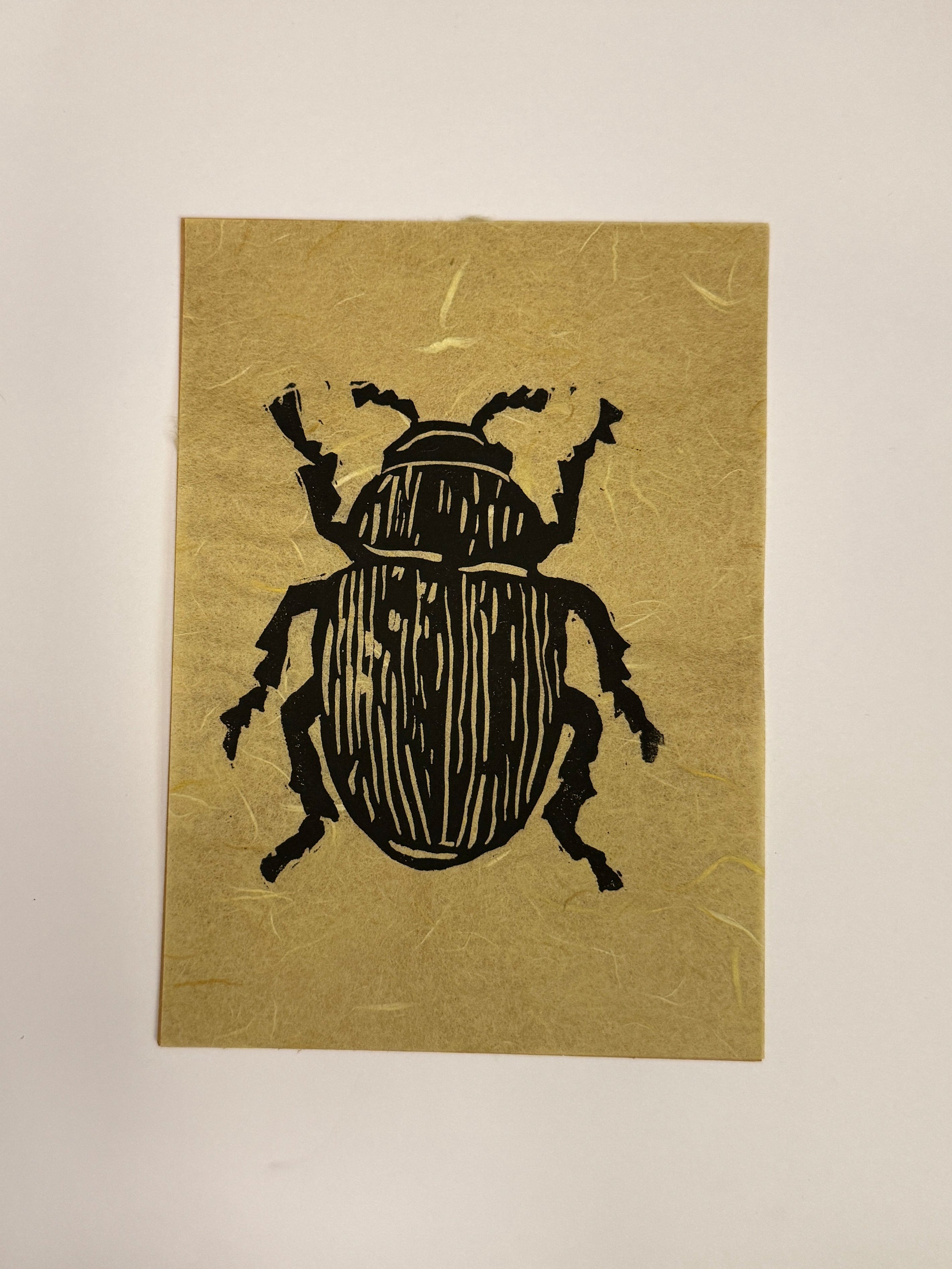 Beetle Print