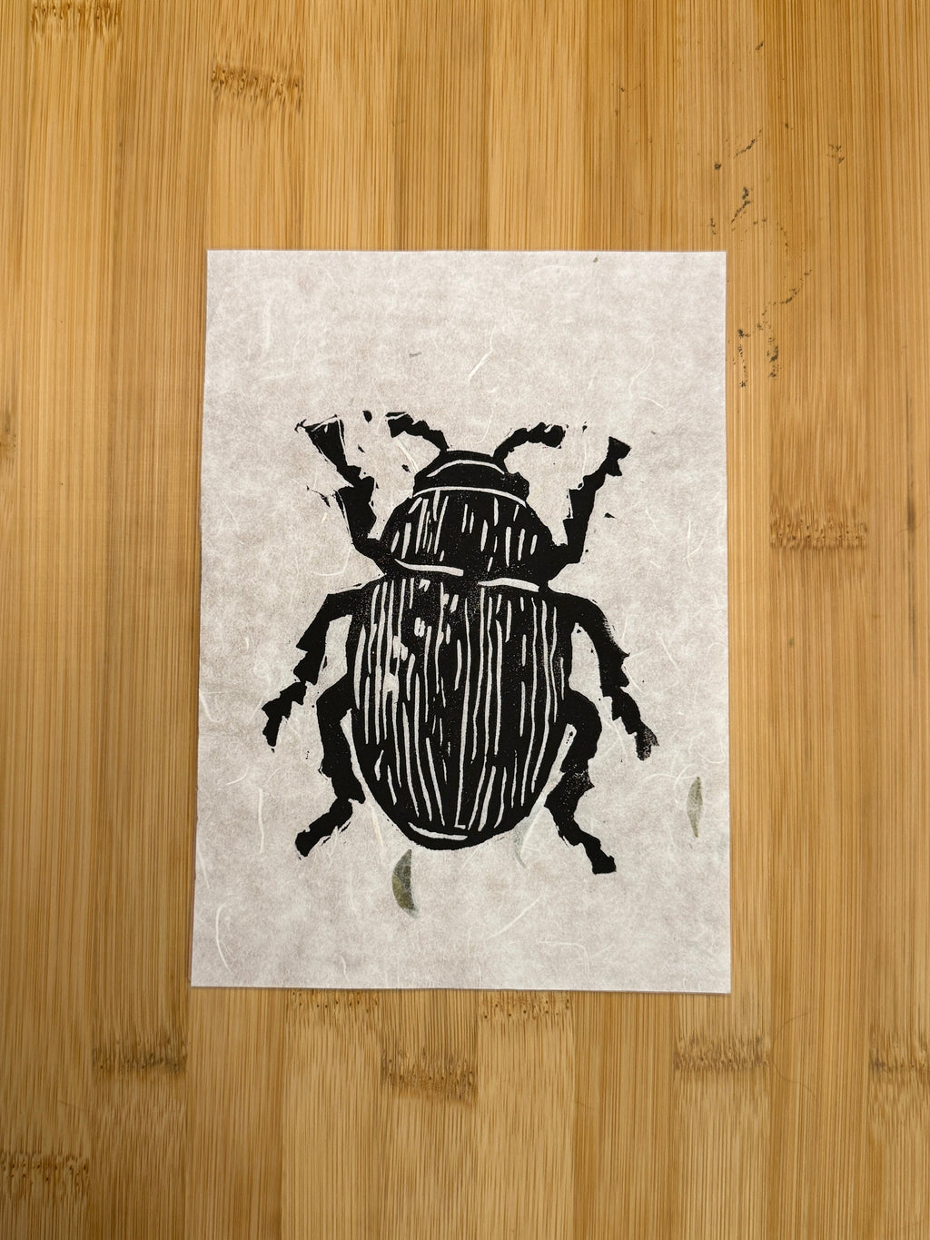 Beetle Print