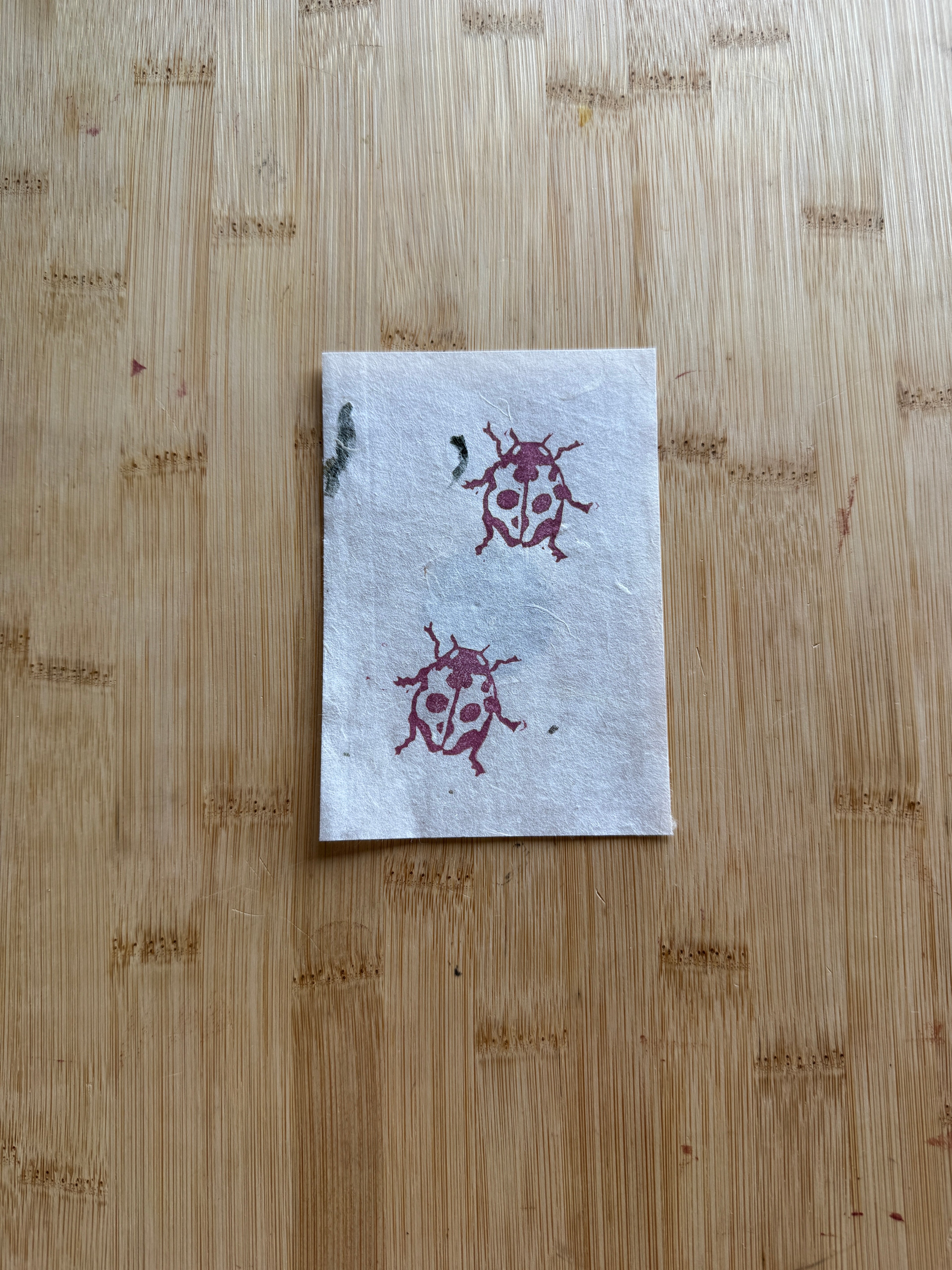 Mini Ladybug Print