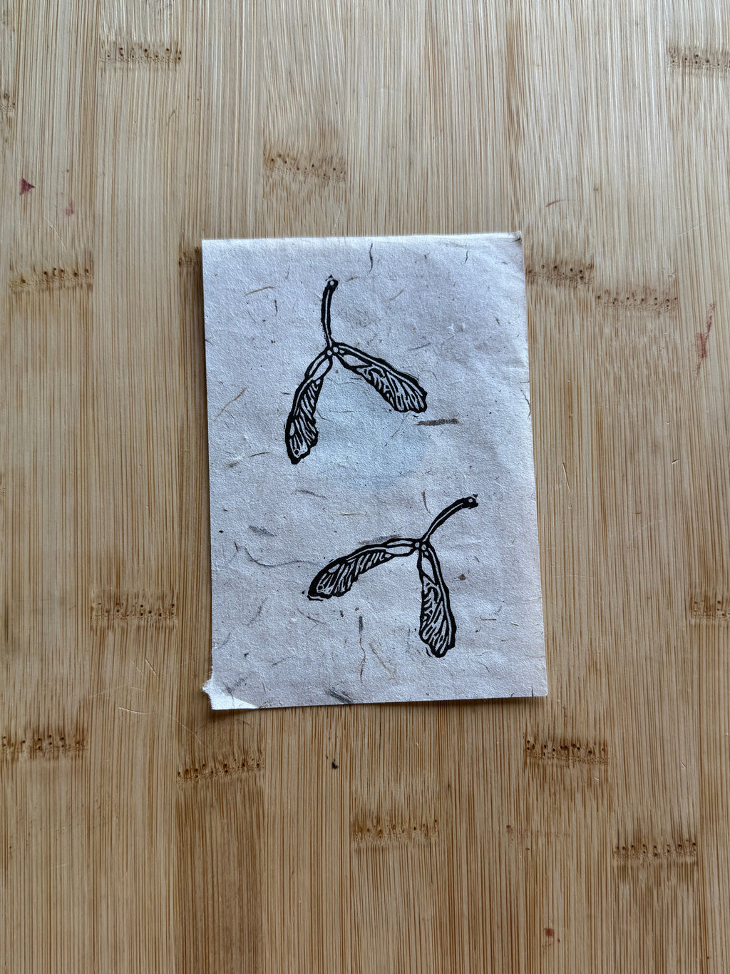 Mini Maple Tree Seedling Print