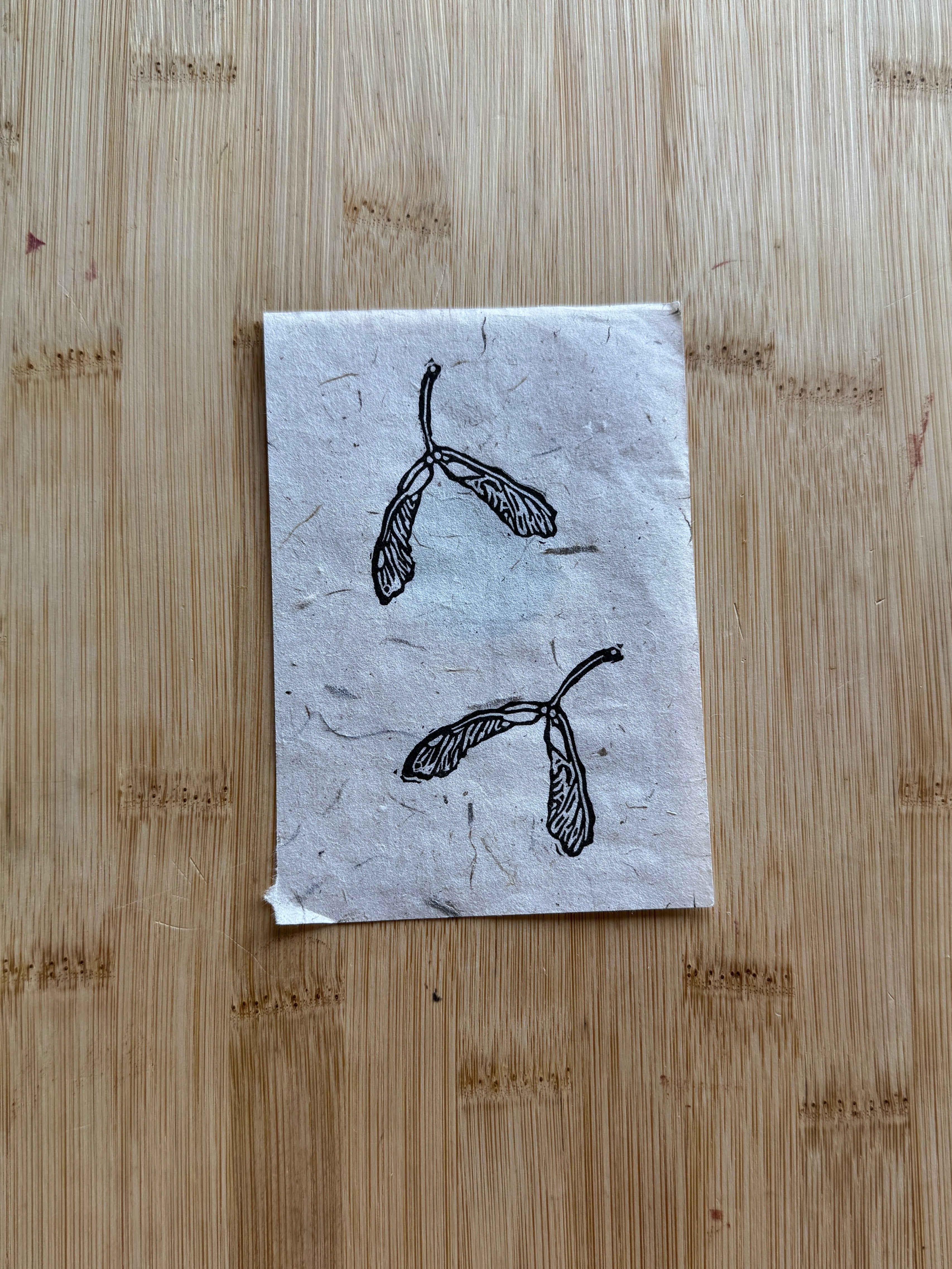 Mini Maple Tree Seedling Print