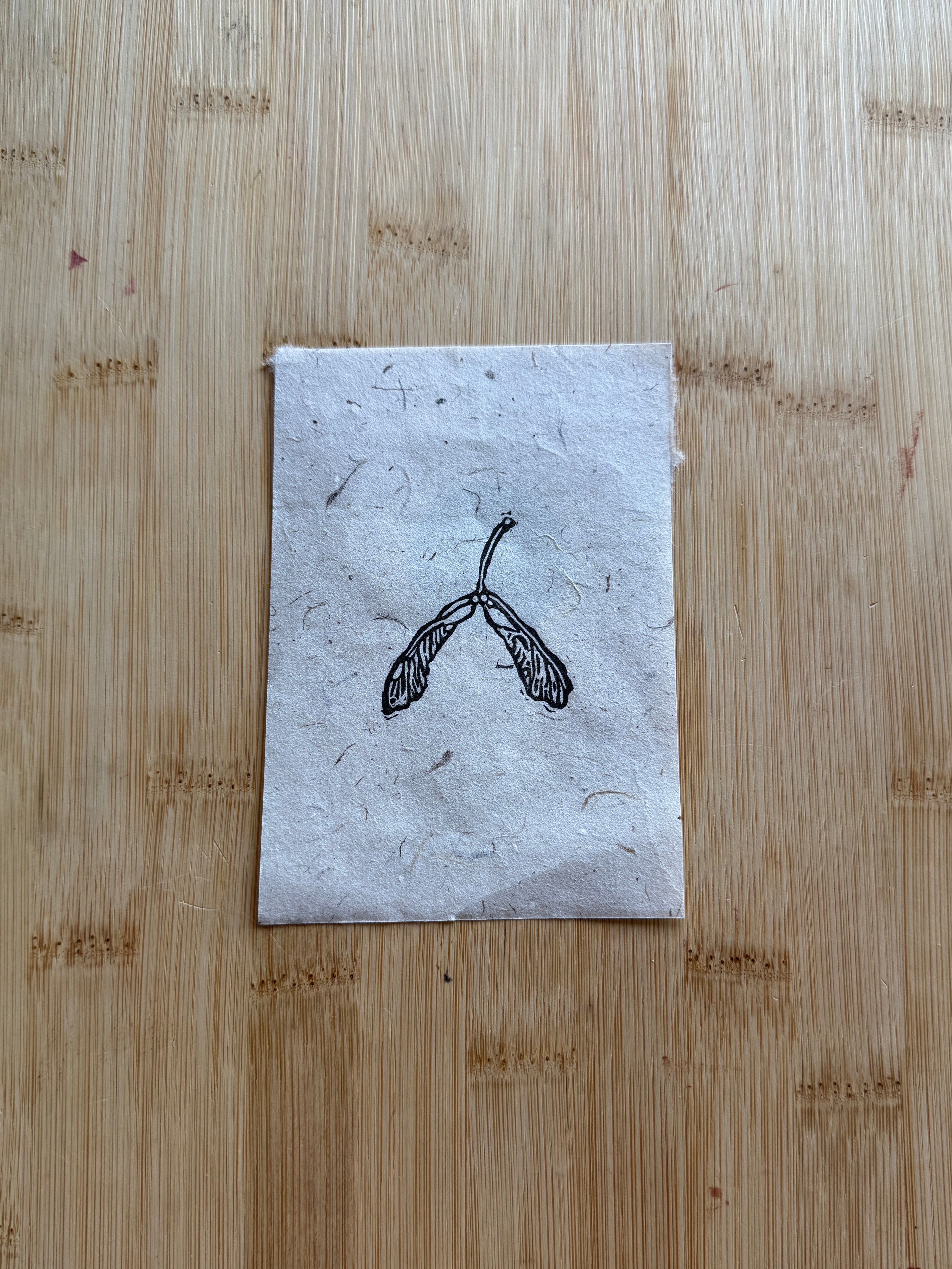 Mini Maple Tree Seedling Print