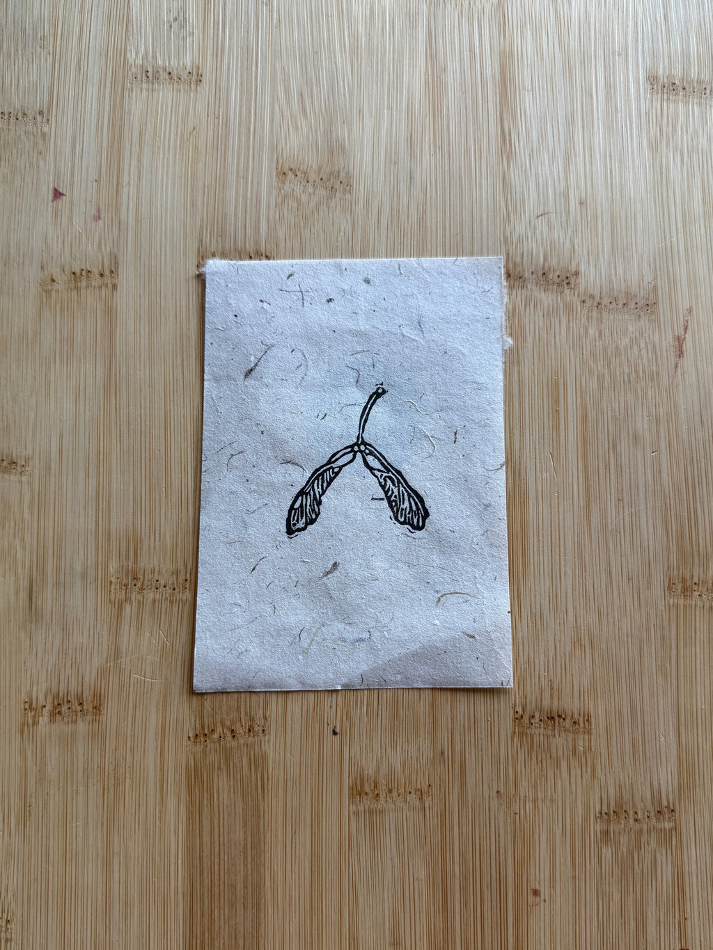 Mini Maple Tree Seedling Print