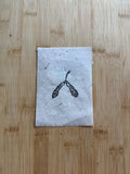 Mini Maple Tree Seedling Print