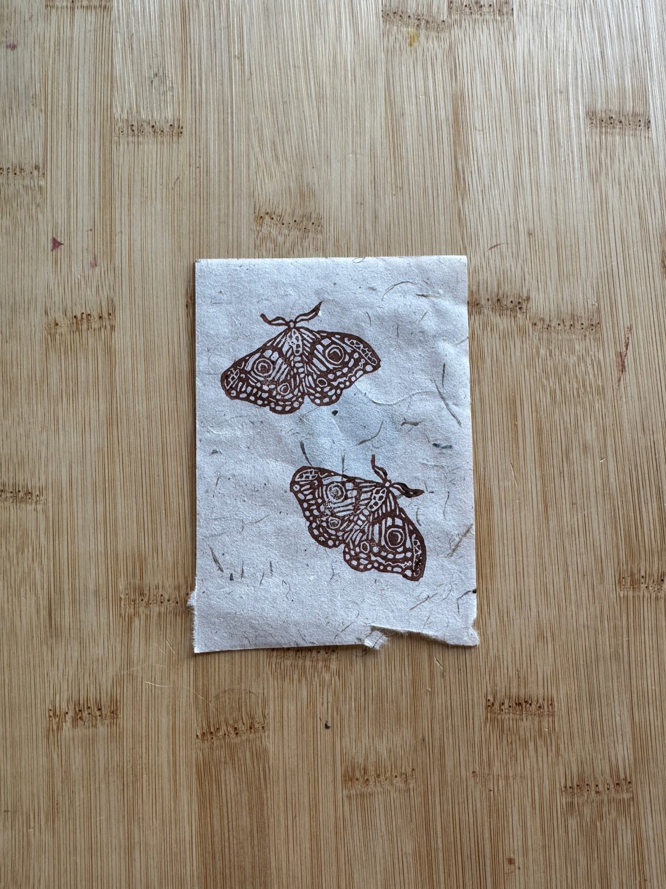 Empress Moth Print