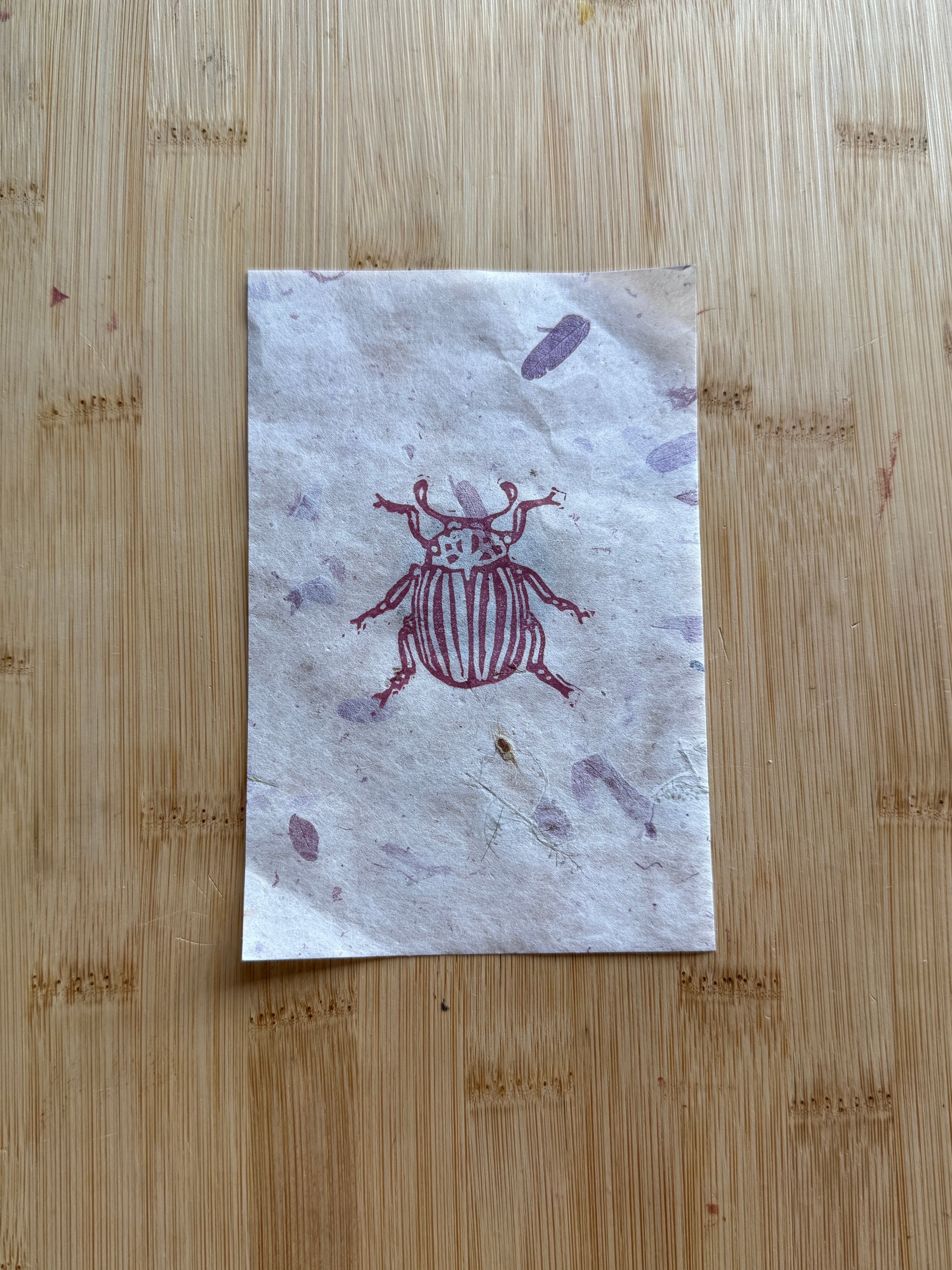 June Beetle Print