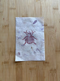 June Beetle Print