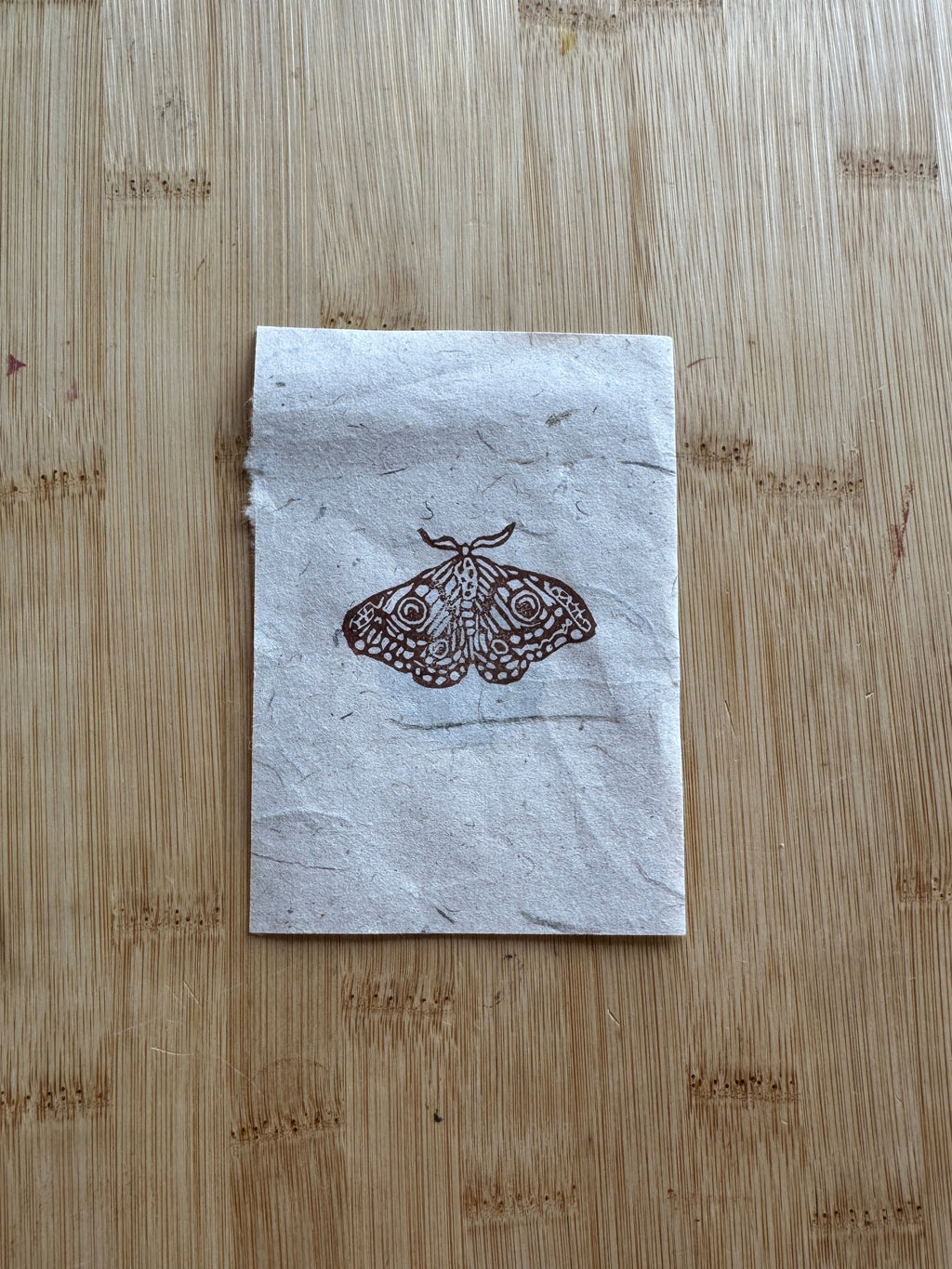 Empress Moth Print