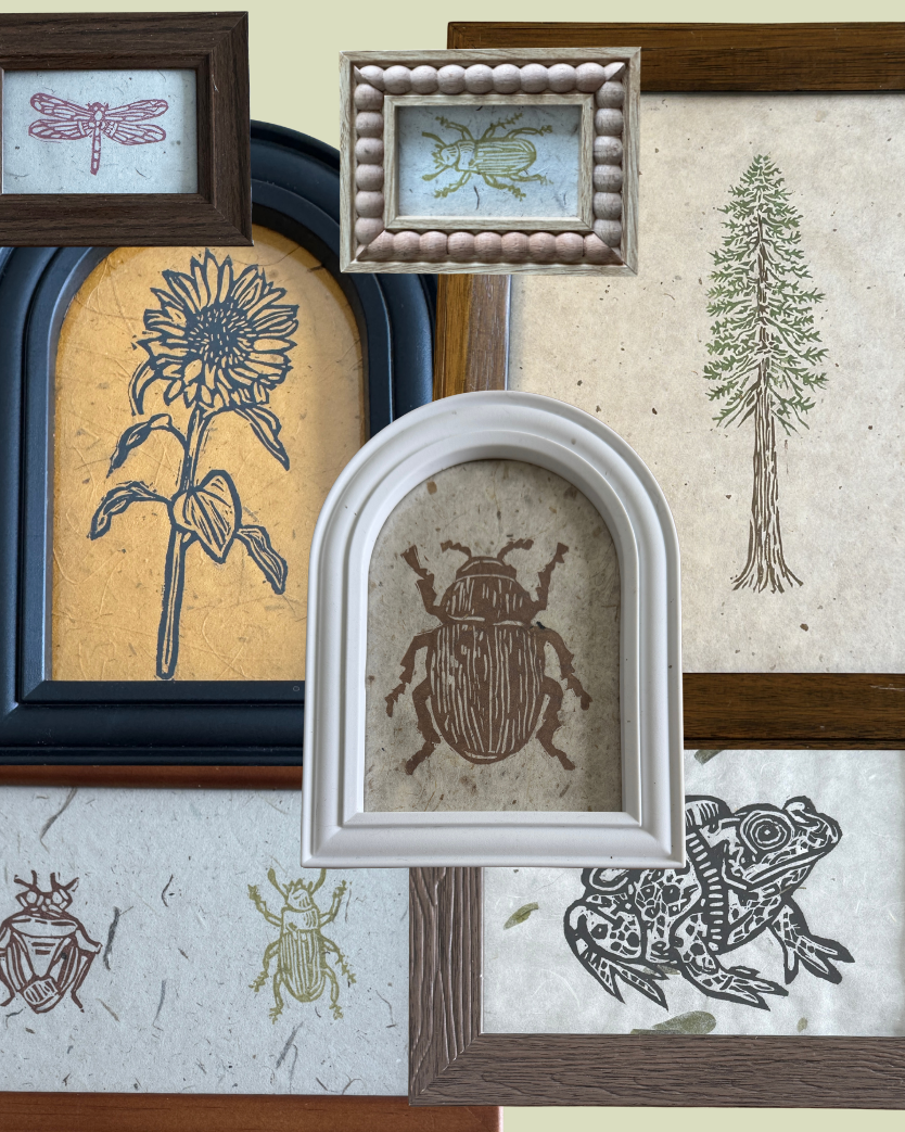 Collection of framed illustrations of nature-themed subjects on a beige background
